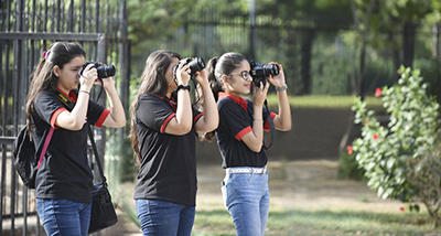Basic Photography