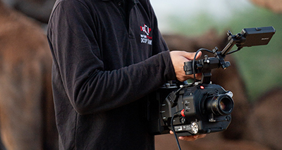 Commercial Film Making