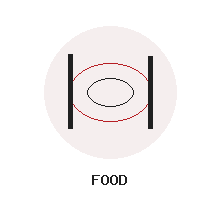 Shooting Food